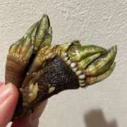 ヒメ日記 2025/08/27 13:45 投稿 あゆみ 脱がされたい人妻 厚木店