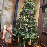 ヒメ日記 2025/12/21 01:09 投稿 さや 白いぽっちゃりさん五反田店