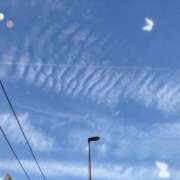 ヒメ日記 2025/01/15 00:59 投稿 奥野 新宿人妻城