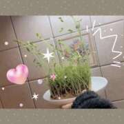 ヒメ日記 2025/03/13 17:02 投稿 奥野 新宿人妻城