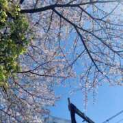 ヒメ日記 2025/04/09 17:43 投稿 奥野 新宿人妻城