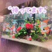 ヒメ日記 2025/12/06 01:11 投稿 奥野 新宿人妻城