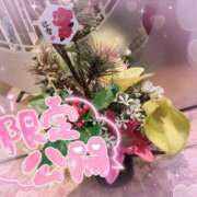 ヒメ日記 2026/01/07 18:13 投稿 奥野 新宿人妻城