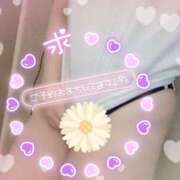 ヒメ日記 2026/02/21 18:10 投稿 奥野 新宿人妻城