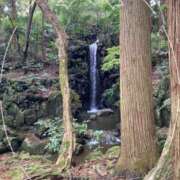 ヒメ日記 2026/04/01 10:15 投稿 奥野 新宿人妻城