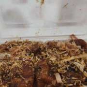 ヒメ日記 2024/12/25 13:13 投稿 ゆうが 京橋熟女