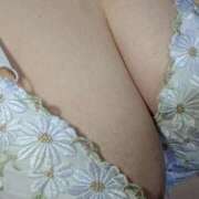 ヒメ日記 2025/06/25 12:09 投稿 このは 浜松駅前ちゃんこ