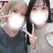 ヒメ日記 2025/04/08 15:13 投稿 まこと 性の極み 技の伝道師 ver. 匠