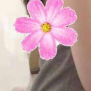 ヒメ日記 2025/04/21 10:26 投稿 かのん ブレザーぶれざー