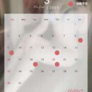 ヒメ日記 2025/03/06 11:54 投稿 にな 東京人妻セレブリティ（ユメオト）