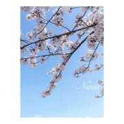 ヒメ日記 2025/04/16 11:39 投稿 にな 東京人妻セレブリティ（ユメオト）