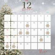 ヒメ日記 2025/12/09 20:26 投稿 にな 東京人妻セレブリティ（ユメオト）