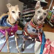 ヒメ日記 2024/12/28 14:49 投稿 みゆ 諭吉専科