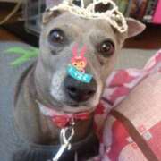 ヒメ日記 2025/01/03 10:21 投稿 みゆ 諭吉専科