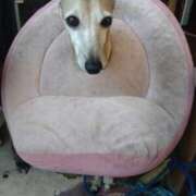 ヒメ日記 2025/01/10 15:36 投稿 みゆ 諭吉専科