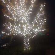 ヒメ日記 2025/01/25 19:09 投稿 みゆ 諭吉専科