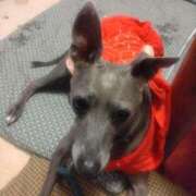 ヒメ日記 2025/06/27 06:45 投稿 みゆ 諭吉専科