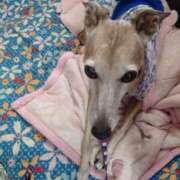 ヒメ日記 2025/07/07 20:54 投稿 みゆ 諭吉専科