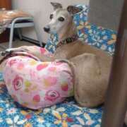 ヒメ日記 2025/07/17 16:36 投稿 みゆ 諭吉専科