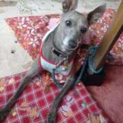 ヒメ日記 2025/07/21 22:50 投稿 みゆ 諭吉専科