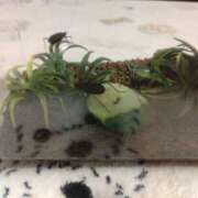 ヒメ日記 2025/07/24 19:44 投稿 みゆ 諭吉専科