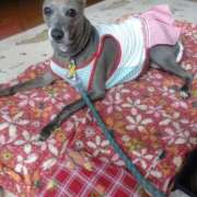 ヒメ日記 2025/07/29 22:53 投稿 みゆ 諭吉専科