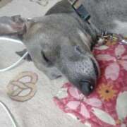 ヒメ日記 2025/07/31 12:24 投稿 みゆ 諭吉専科