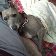 ヒメ日記 2025/07/31 22:39 投稿 みゆ 諭吉専科