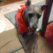 ヒメ日記 2025/08/01 02:57 投稿 みゆ 諭吉専科