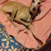 ヒメ日記 2025/08/04 03:24 投稿 みゆ 諭吉専科