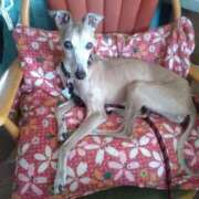 ヒメ日記 2025/08/08 16:58 投稿 みゆ 諭吉専科