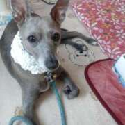 ヒメ日記 2025/08/26 19:49 投稿 みゆ 諭吉専科