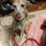 ヒメ日記 2025/09/01 20:23 投稿 みゆ 諭吉専科