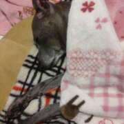 ヒメ日記 2025/09/20 21:38 投稿 みゆ 諭吉専科