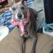 ヒメ日記 2025/09/23 16:32 投稿 みゆ 諭吉専科