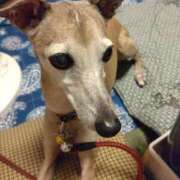 ヒメ日記 2025/09/27 18:09 投稿 みゆ 諭吉専科