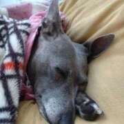 ヒメ日記 2025/10/03 19:09 投稿 みゆ 諭吉専科