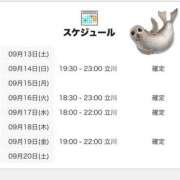 ヒメ日記 2025/09/13 12:01 投稿 にいな 世界のあんぷり亭 新宿総本店