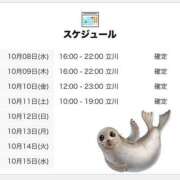 ヒメ日記 2025/10/08 15:00 投稿 にいな 世界のあんぷり亭 新宿総本店