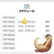 ヒメ日記 2025/12/15 06:00 投稿 にいな 世界のあんぷり亭 新宿総本店