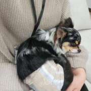 ヒメ日記 2025/02/04 22:50 投稿 こむぎ SOAPLAND LOVE FACTORY