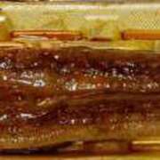 ヒメ日記 2025/08/09 19:47 投稿 【NH】りりか 佐世保デリヘル　VERY（ヴェリィ）