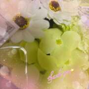 ヒメ日記 2024/12/27 17:37 投稿 まな マツタケヒロシ