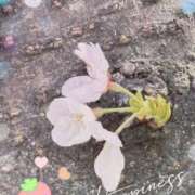 ヒメ日記 2025/03/31 17:08 投稿 まな マツタケヒロシ