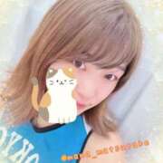 ヒメ日記 2025/04/10 13:48 投稿 まな マツタケヒロシ