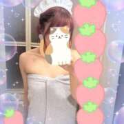 ヒメ日記 2025/04/26 16:18 投稿 まな マツタケヒロシ