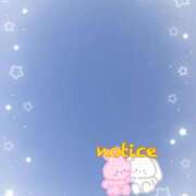 ヒメ日記 2025/04/30 13:58 投稿 まな マツタケヒロシ