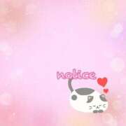 ヒメ日記 2025/05/12 16:18 投稿 まな マツタケヒロシ