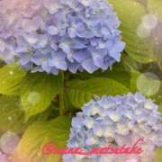 ヒメ日記 2025/05/24 16:23 投稿 まな マツタケヒロシ