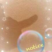 ヒメ日記 2025/11/10 17:29 投稿 まな マツタケヒロシ